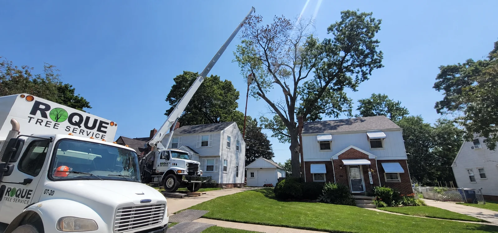 Tree-service trucks and a raised crane boom beside houses and a tree